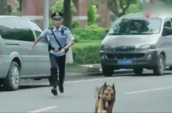 上班时间抢小朋友烤肠，警犬被通报，一幕引人深思的职场故事