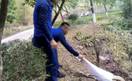 网友担忧失踪男孩遇蟒蛇，当地回应，全力搜救，确保安全