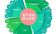 特色产业创新发展蝶变成金招牌—探析区域经济新引擎
