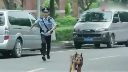 上班时间抢小朋友烤肠，警犬被通报，一幕引人深思的职场故事