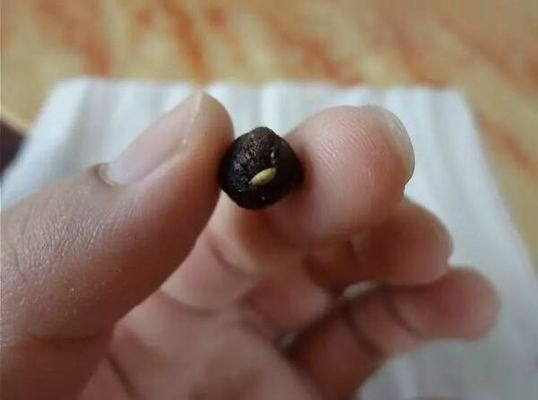 警惕蓝莓肚脐眼的霉菌！小心引发急性肠胃炎