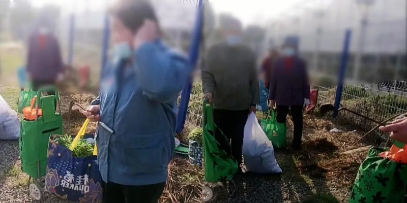邻里惊闻，老人带娃偷菜，监控画面曝光引公愤
