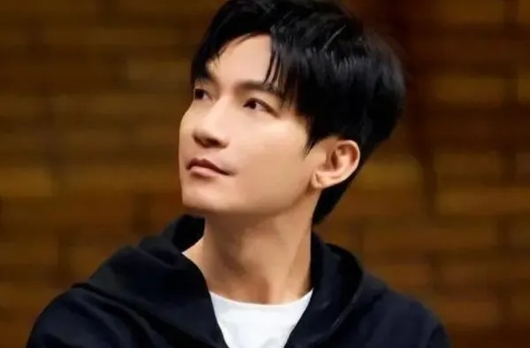 陈楚生高音失误，辉煌背后的遗憾与反思