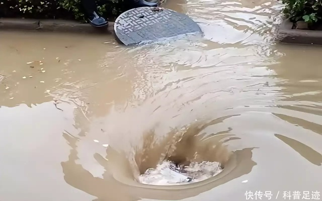 武汉暴雨奇观，汽车不慎吃井盖，市民见证城市排水挑战