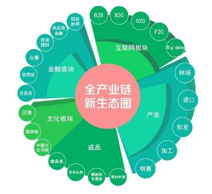 特色产业创新发展蝶变成金招牌—探析区域经济新引擎