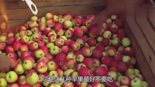 再这么下去，苹果要吃不起了！