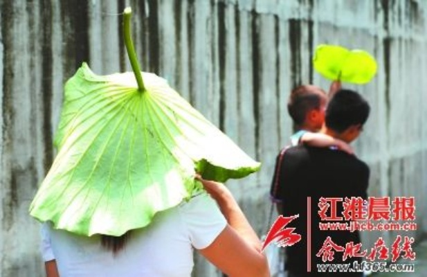 女子为遮阳创意十足，戴荷叶化身巨型绿蚊走红网络