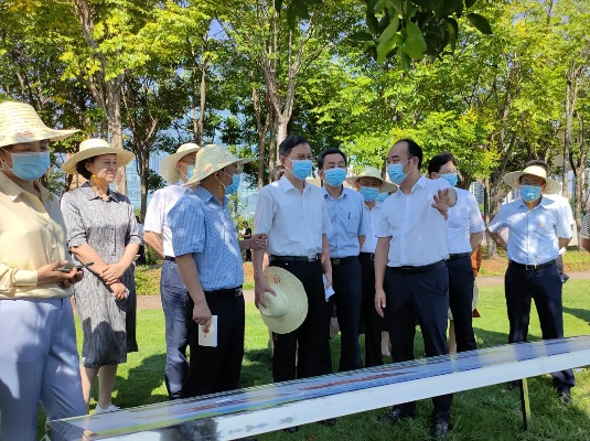 中央巡视组交办问题，省长赴现场督导，强化责任担当，确保整改落实到位